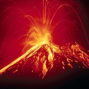 Meet your Posher, Bilal